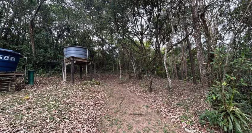 Terreno para Venda em Florianópolis, Cacupé