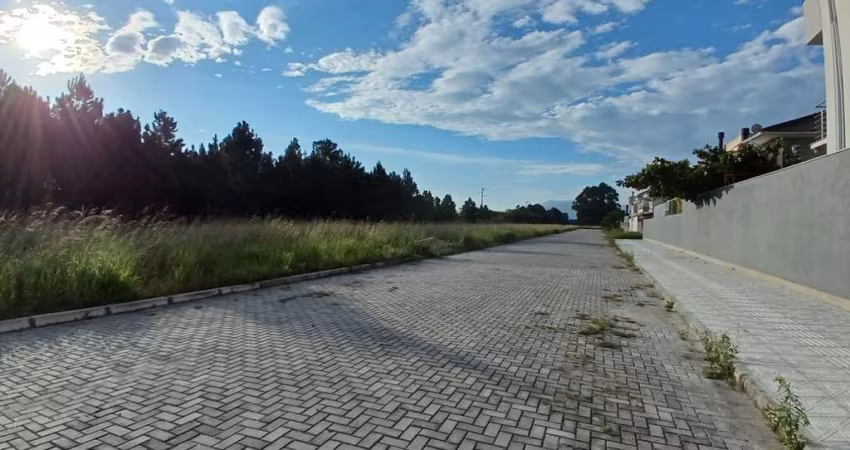 Terreno para Venda em Florianópolis, Ribeirão da Ilha