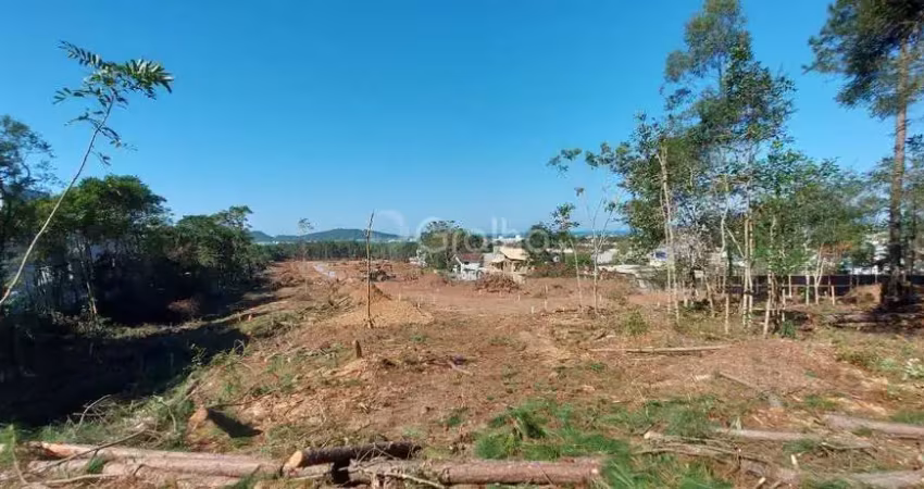 Terreno para Venda em Florianópolis, Campeche