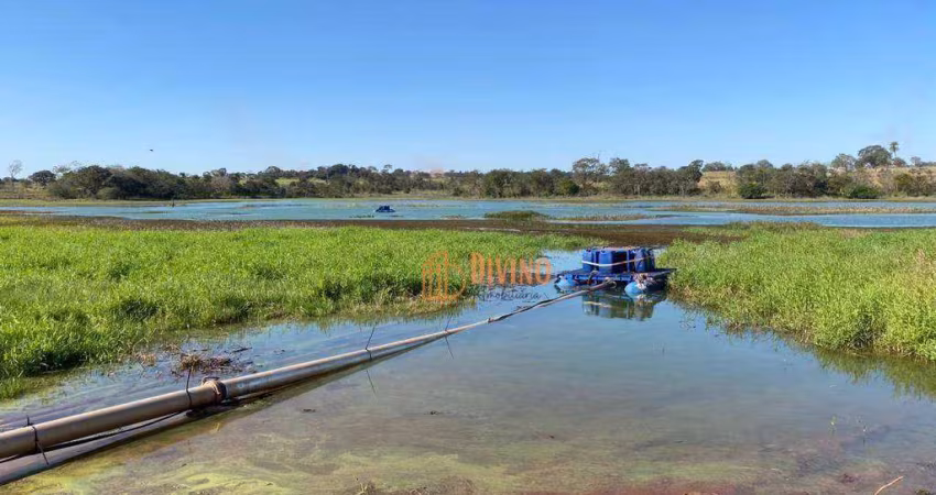 Fazenda à venda, 1291 Alqueires por R$ 219.370.000 - Zona Rural- Sud Mennucci/SP