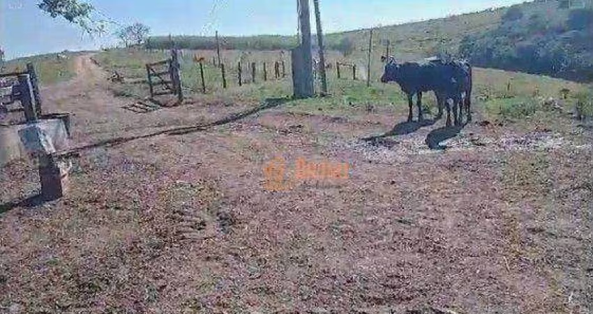 Fazenda à venda, 67 Alqueires por R$ 16.000.000 - Área Rural - Itapetininga/SP
