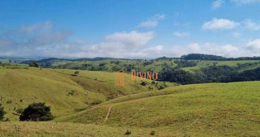 Fazenda à venda, 162 Alqueires por R$ 21.060.000 - Zona Rural - Capão Bonito/SP