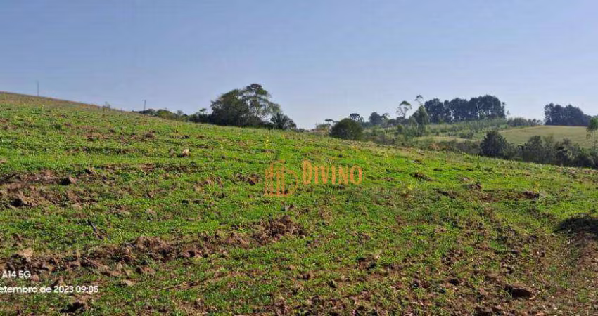 Sítio com 3 dormitórios à venda, 72600 m² por R$ 830.000 -  São Miguel Arcanjo/SP