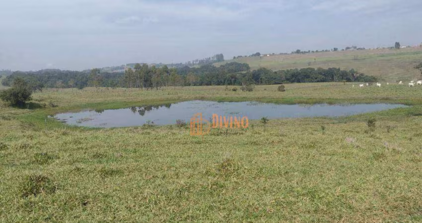 Sítio à venda, 12 Alqueires por R$ 2.500.000 - Área Rural - Itapetininga/SP