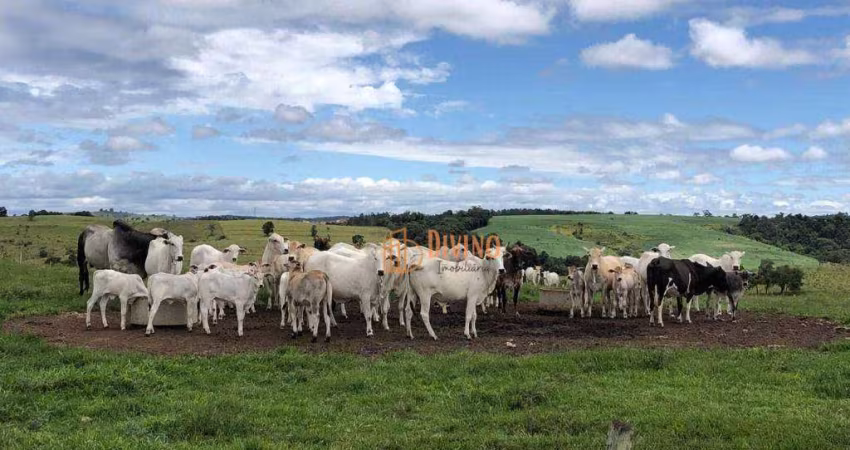 Fazenda à venda, 87 Alqueires por R$ 22.000.000 - Alambari/SP
