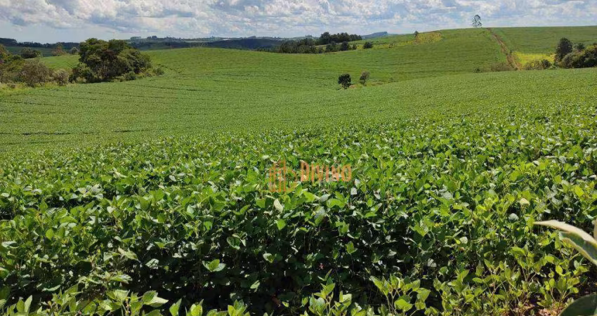 Sítio Produtivo à Venda em São Miguel Arcanjo, SP