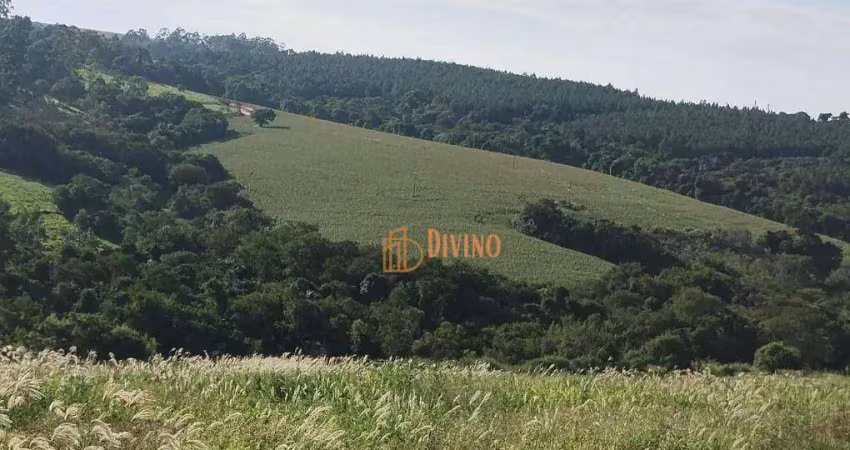 Chácara / sítio à venda na Rua Osvaldo Gobbo, Centro, Coronel Macedo