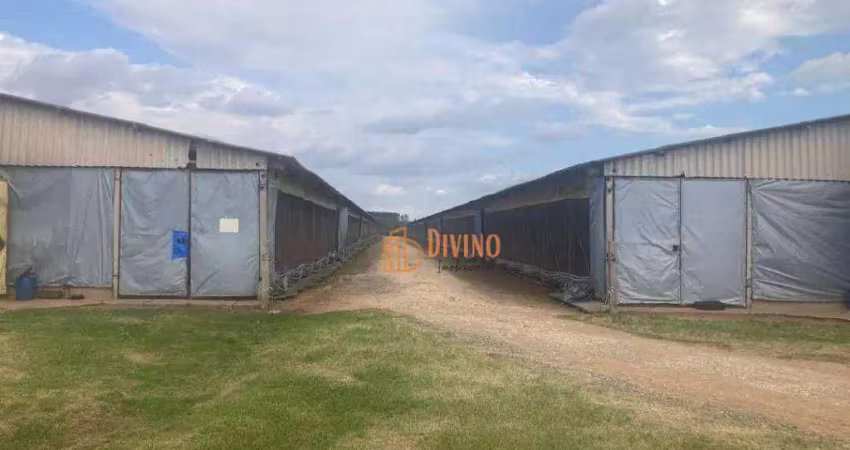 Sítio com granja à venda na região de itapetininga-sp