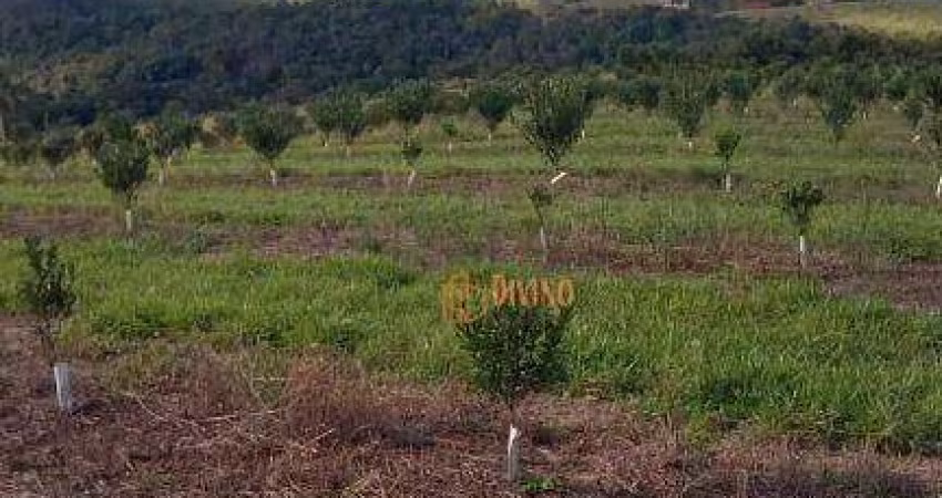 Sítio à Venda em São Miguel Arcanjo - SP