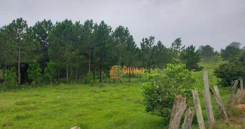 Chácara / sítio à venda na SP-270, 3, Área Rural de Sorocaba, Sorocaba
