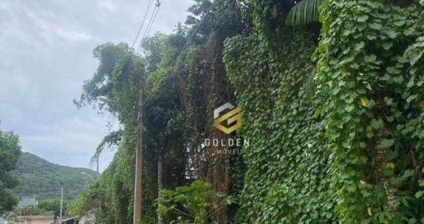 Terreno à venda, 280 m² por R$ 390.000 - Zimbros - Bombinhas/SC