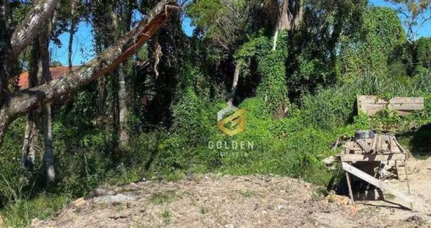 Terreno à venda, 266 m² por R$ 500.000,00 - Zimbros - Bombinhas/SC