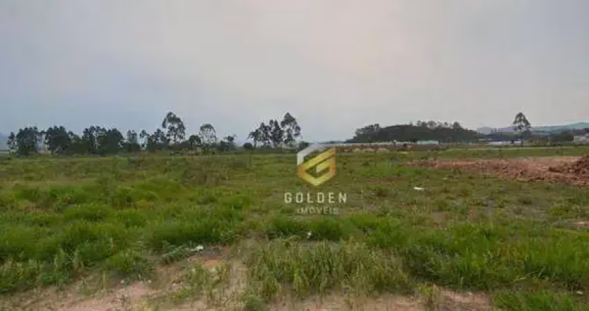 Terreno à venda, 301 m² por r$ 215.000 - loteamento flora e flora - tijucas/sc