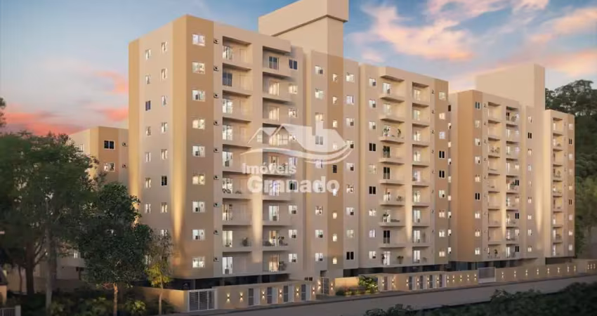 Apartamento com 2 dormitórios à venda, cedro, camboriu - sc