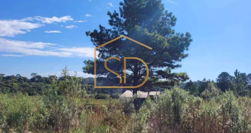 Chácara 13 no condomínio sol nascente com casa e 5500m² de área , à venda em tijucas do sul