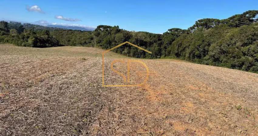 Espetacular área rural no caminho do vinho, 21.000m², à venda em são josé dos pinhais, colônia murici