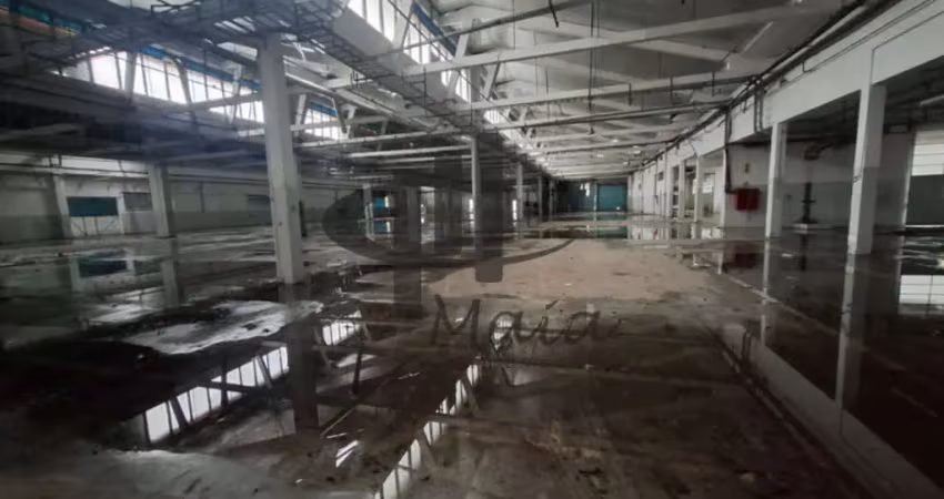 Barracão / Galpão / Depósito para alugar na GOIS RAPOSO, R, Sacomã, São Paulo