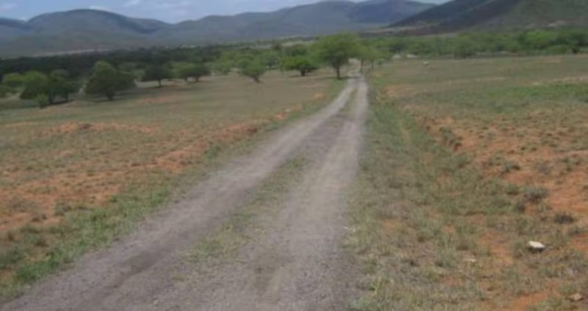 GRANDE OPORTUNIDADE PARA ADQUIRIR EXCELENTE FAZENDA ÀS MARGENS DA BR 116, NA REGIÃO DE JEQUIÉ - BAHIA!!