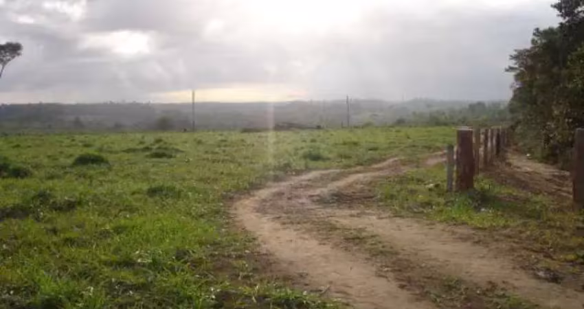 Fazenda à venda na RODOVIA, 001, Centro, Jequitinhonha