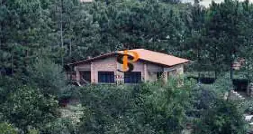 Chácara / sítio com 3 quartos à venda na Avenida Margaridas, Pinheirinho, Vinhedo