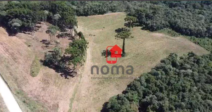 Área à venda, 130000 m² por r$ 23.900.000,00 - jardim bela vista - campo largo/pr