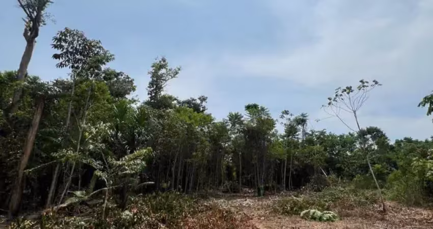 Terreno à venda na único, 0, Praia do Açutuba, Iranduba