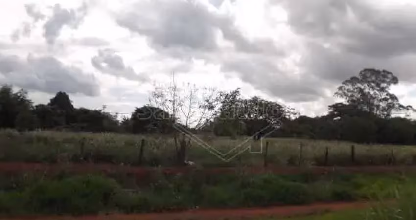 Barracão / Galpão / Depósito para alugar na Rua José Barbieri Neto, Jardim Botânico, Araraquara
