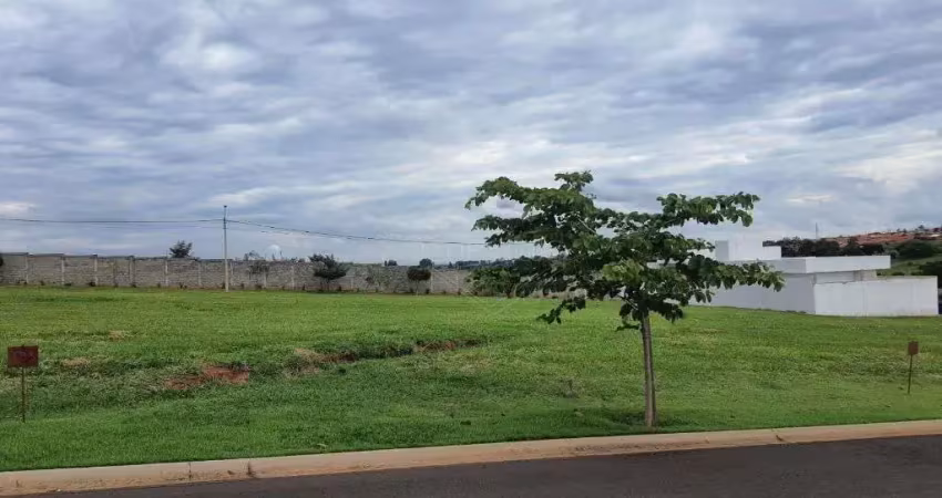 Terreno em condomínio fechado à venda na Avenida Mercedes Silvestre, 247, Jardim Botânico, Araraquara