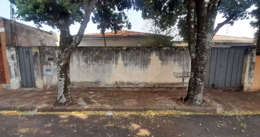 Casa com 3 quartos para alugar no Centro, Araraquara 