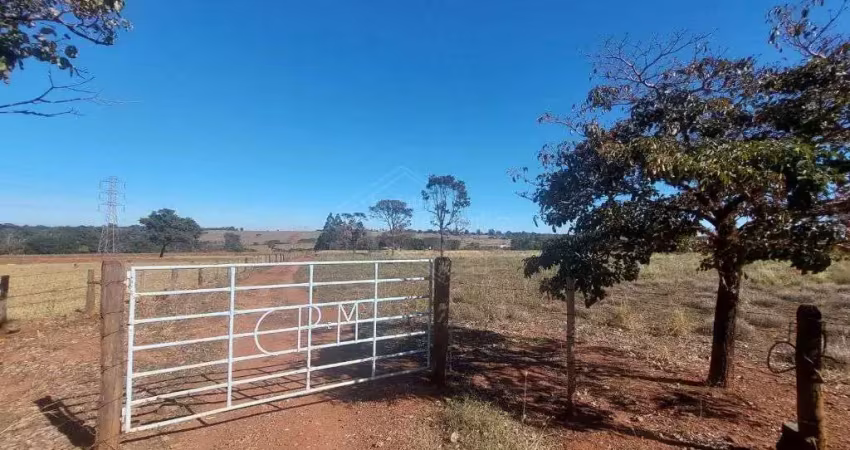 Chácara / sítio para alugar na Sitio Nossa Senhora Aparecida, Área Rural de Araraquara, Araraquara
