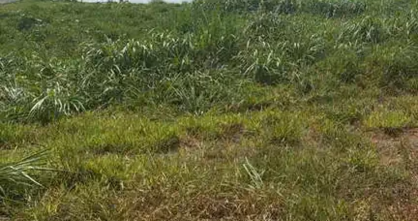Terreno à venda na Avenida Ângelo Zeppelin, Borda da Mata, Caçapava