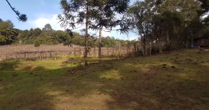 Terreno à venda na Estrada Municipal Abel Brambatti, 500, Parada Cristal, Caxias do Sul