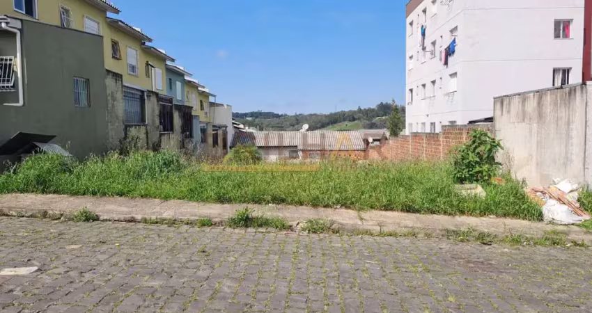 Terreno à venda na Rua José Constant Lazzari, São Giácomo, Caxias do Sul
