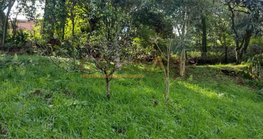 Terreno à venda na Rua Pedro Pezzi, Panazzolo, Caxias do Sul