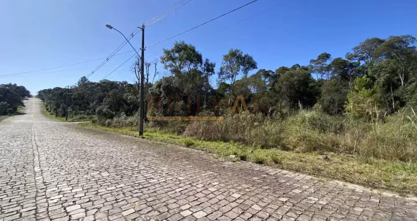 Terreno à venda na Rua Camilo dal Piaz, Ana Rech, Caxias do Sul