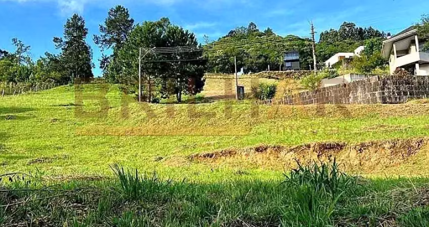 Terreno à venda na Estrada Municipal Vicente Menezes, Linha 40, Caxias do Sul