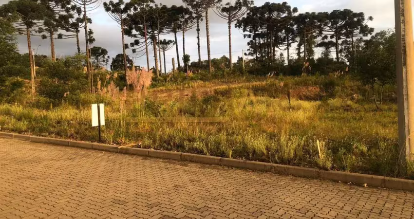 Terreno à venda na Estrada Ana Rech, 100, Ana Rech, Caxias do Sul