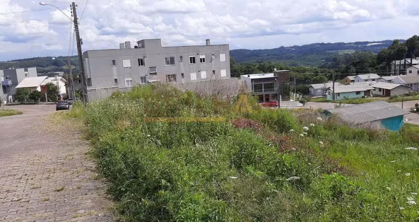 Terreno à venda na Rua Lucia Maria Gelatti Fontana, Videiras, Flores da Cunha