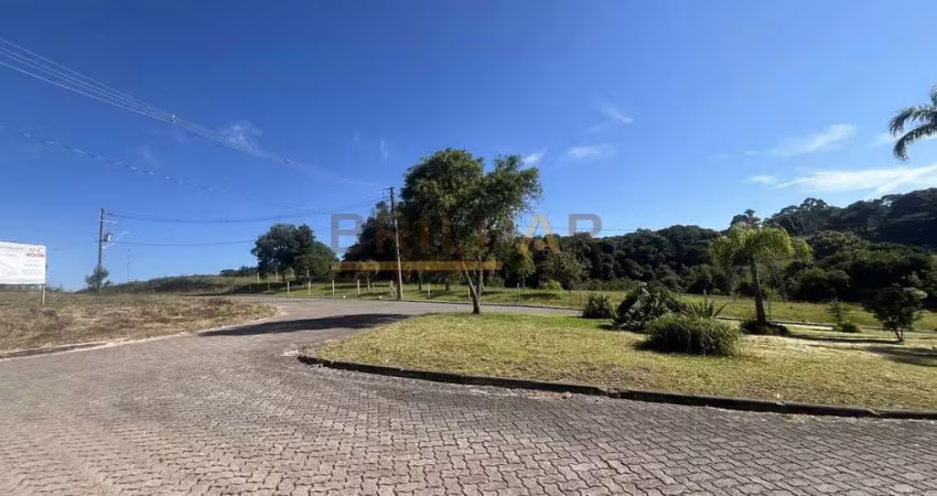 Chácara / sítio à venda na São Ciro, São Ciro, Caxias do Sul