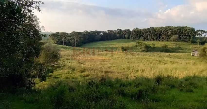 Chácara / sítio à venda na Vila Oliva (Distrito), Caxias do Sul 