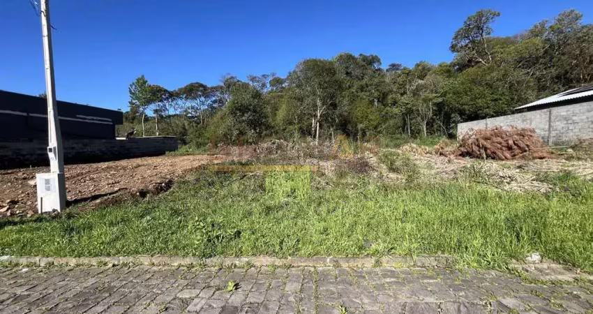 Terreno à venda na Estrada Ana Rech, 10, Ana Rech, Caxias do Sul