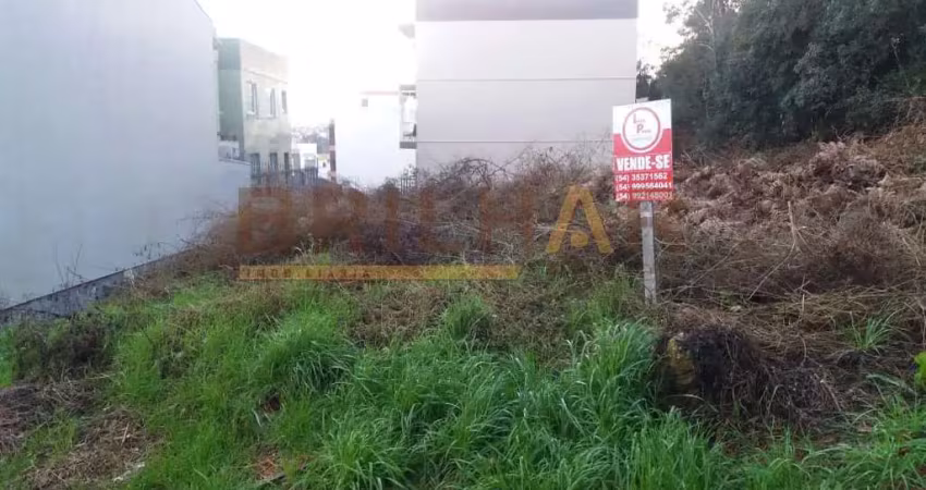Terreno para comprar no loteamento santo andré  bairro santa catarina em caxias do sul