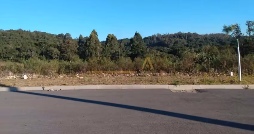 Terreno à venda na Rua João Rippel, São Giácomo, Caxias do Sul
