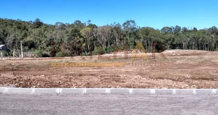 Terreno à venda na Rua João Rippel, São Giácomo, Caxias do Sul