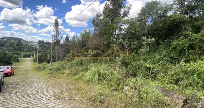 Terreno à venda no Desvio Rizzo, Caxias do Sul 