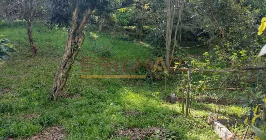 Terreno à venda na Rua Pedro Pezzi, 646, Panazzolo, Caxias do Sul