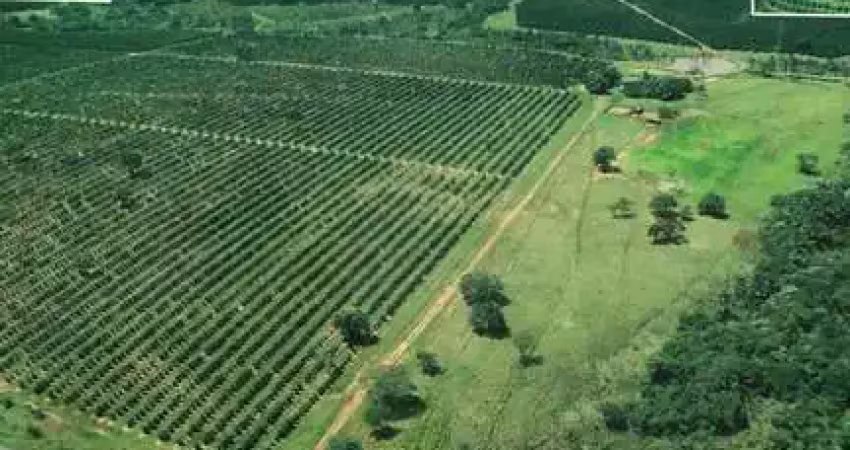 Fazenda à venda no bairro doutor paulo prata - barretos/sp