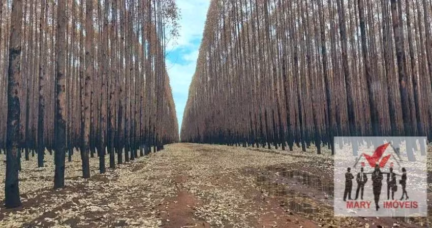 Fazenda à venda no Centro, Várzea da Palma 