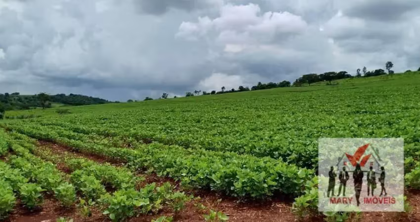 Fazenda à venda no Centro, Itamogi 