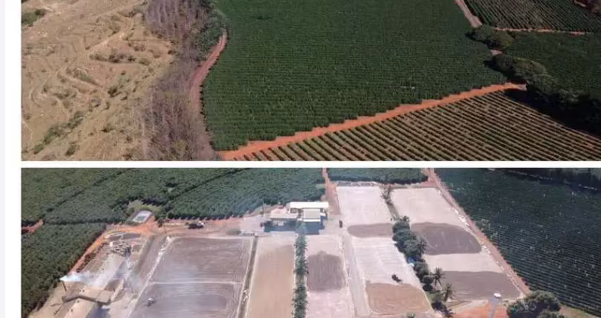Fazenda à venda no Centro, Piumhi 
